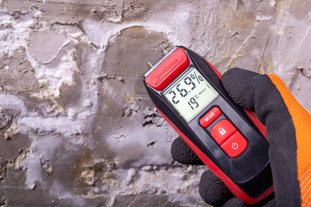 Best Crawl Space Mold Removal  in Bryans Road, MD