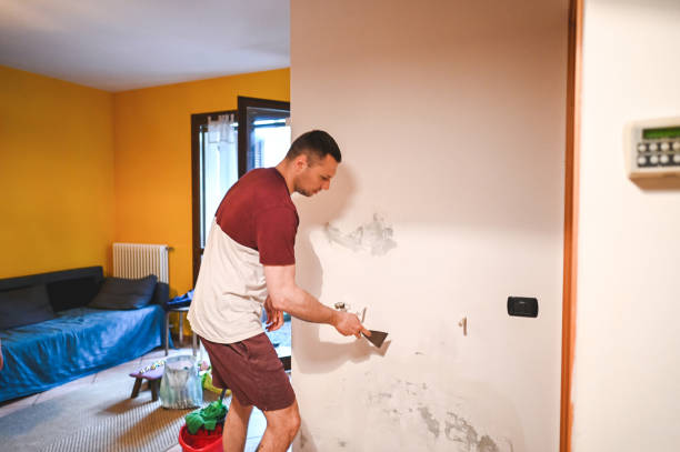 Best Black Mold Removal  in Bryans Road, MD